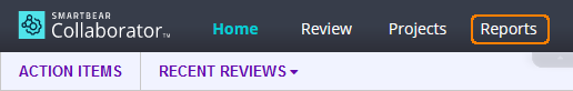 ws-reports-toolbar